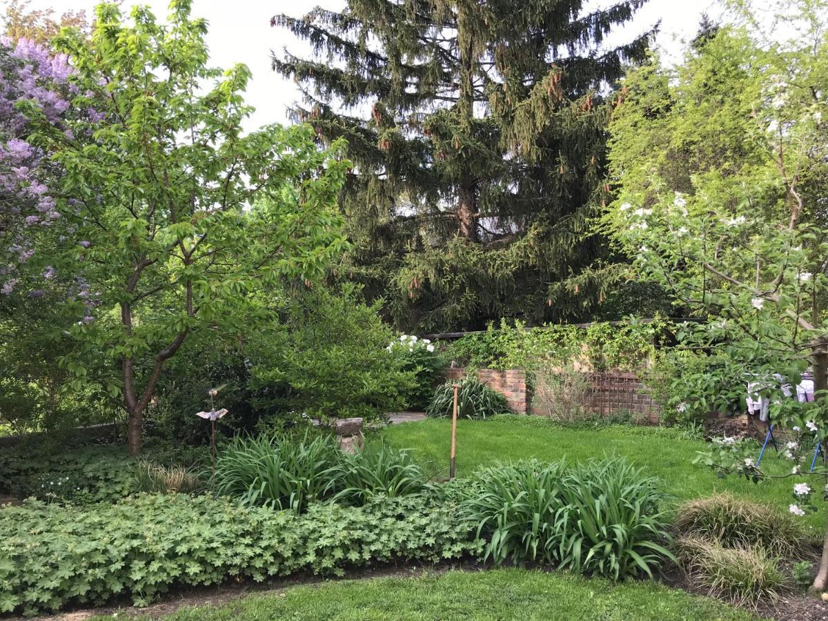 Traumhafte Etagenwohnung In Guenderzeitvilla Dresda Esterno foto